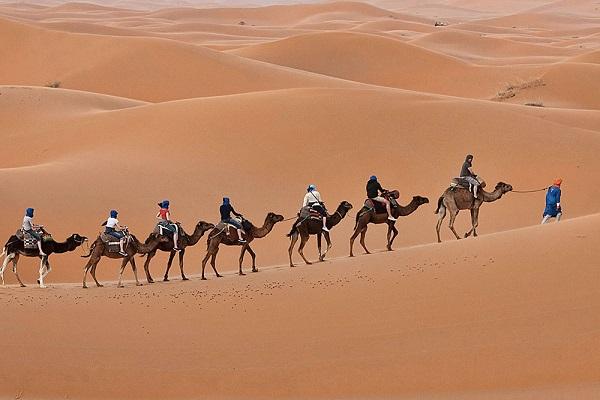 montar camellos