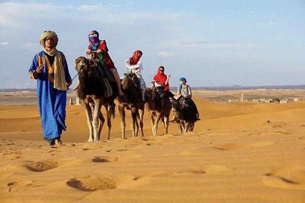 zagora paseos en camellos